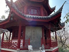 -汇龙潭