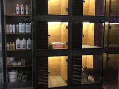 -MOLLY'S萌宠生活馆