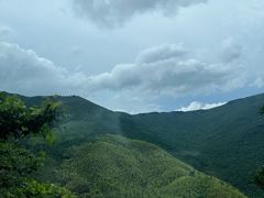 -天目山大树王景区