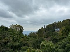 -莫干山风景区