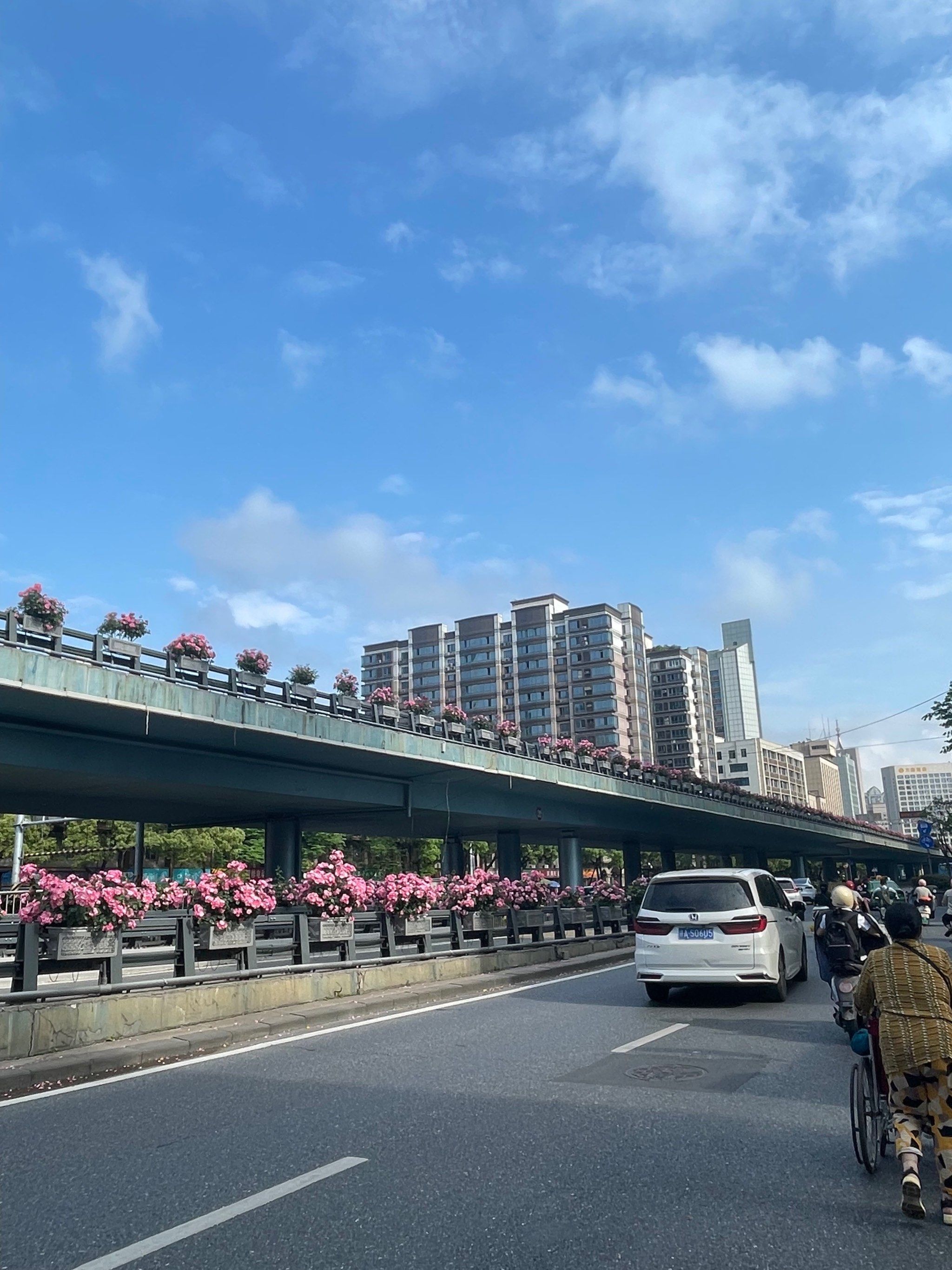 上下班路过了老福山立交和坛子口立交桥
上面的花都开得好好看啊
