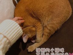 -默迹咖啡馆