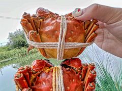 -欢乐蟹庄·精品农家乐(阳澄湖莲花岛店)