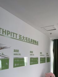 -凡碧诗毛孔清洁收细