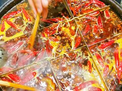 红汤锅底-渝杨胖娃老火锅(中兴路店)