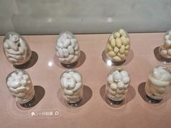 -苏州丝绸博物馆