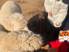 -太原动物园