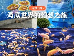 -多彩贵州城极地海洋世界