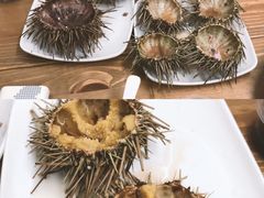 -海胆小馆(东北水饺·春柳店)