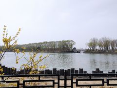 -大兴滨河森林公园