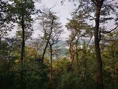 -岳麓山风景名胜区