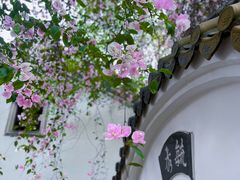 -深圳国际园林花卉博览园