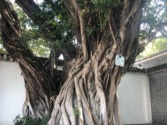 -黄埔军校旧址纪念馆