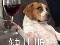 -吃皮火锅馆(苏宁店)