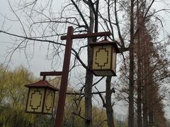 -洋湖国家湿地公园