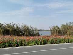 -池州市平天湖风景区