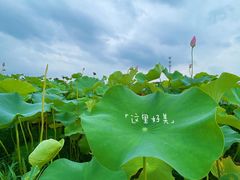 -嘉北郊野公园
