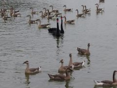 -艾溪湖湿地公园