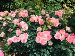 -人民公园(罗湖区)