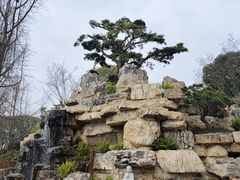 -宝光寺