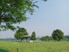 -海珠湖公园