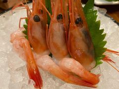 -Mr·Fish鱼鲜生海鲜放题(银泰in99店)