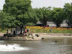 -鹅湖玫瑰文化园