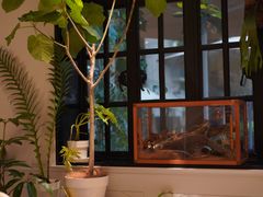 -一尺花园(安和花园店)