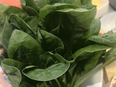 -宴全牛粤来越牛潮汕鲜牛肉火锅(海州万达广场店)