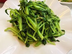 -阿英煲(凉城路店)