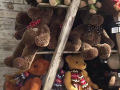 -济州岛泰迪熊博物馆