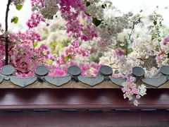 -深圳国际园林花卉博览园