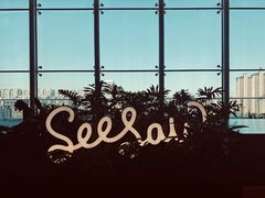 -Seesaw Coffee(朝阳大悦城店)