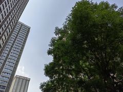 -名士豪庭