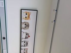 -美联众合动物医院·24h京西诊疗中心