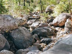 -云岫谷游猎自然风景区