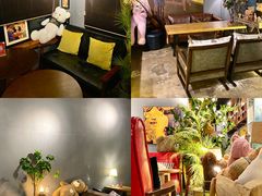 -咖法森林·咖啡  酒吧(天河店)