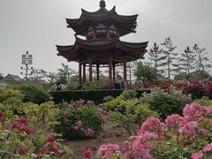 -大慈恩寺(大雁塔)