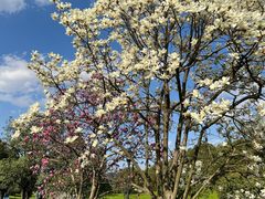 -宝业会稽山高尔夫俱乐部