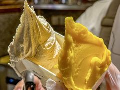 -野人先生Gelato(上海长宁龙之梦店)