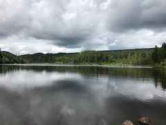 -五营红松林海景区