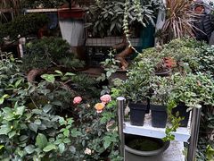 -苏州艺都古玩花鸟市场