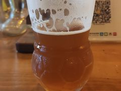 -雪梨精酿 Sydney Coast Brewing(沁春家园店)