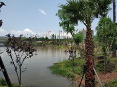 -枫香湖儿童公园