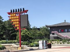 -曹州牡丹园