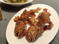 -新吉士·上海菜(浦东LCM置汇旭辉店)