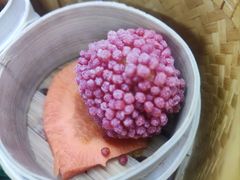 -广州都市观光巴士(粤陶巴)