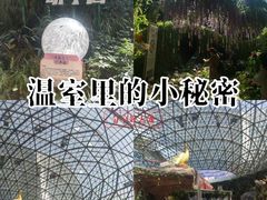 -花之城