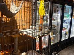 -木沐影咖(鑫乐汇购物广场店)