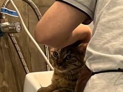 -PETKIT 小佩宠物·低压洗护·美容·寄养(安远店)